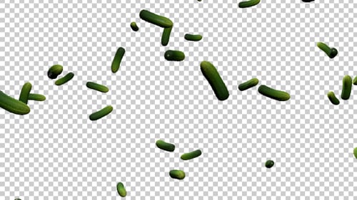 Falling Cucumbers with Alpha Channel