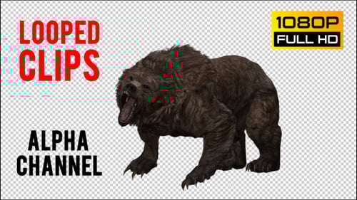Growling 3D Brown Bear Animation with Alpha Channel