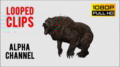 Realistic 3D Brown Bear Walking Animation with Alpha Channel