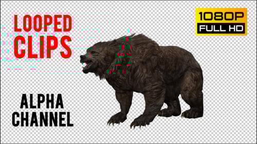 Animated 3D Brown Bear Roaring and Walking with Alpha Channel