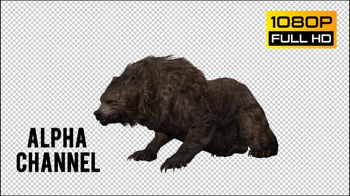 Realistic 3D Grizzly Bear Waking Up Animation