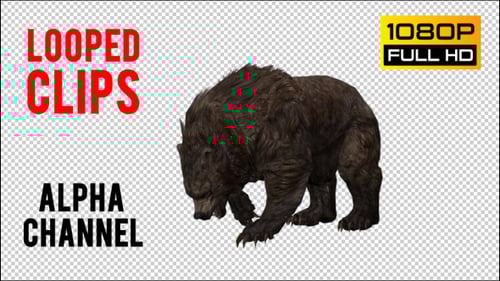 Brown Bear Walking Cycle 3D Animation