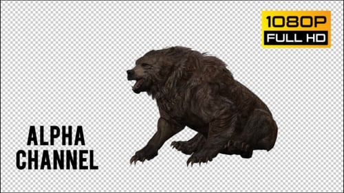 Realistic Grizzly Bear Walking, Sitting, and Roaring with Alpha Channel