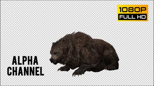Realistic 3D Animated Bear Stands Up