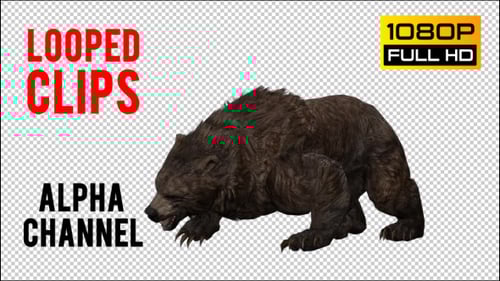 Realistic 3D Animated Brown Bear Walking, Standing, and Roaring
