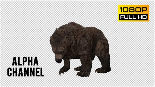 Realistic 3D Brown Bear Walking Animation with Alpha Channel