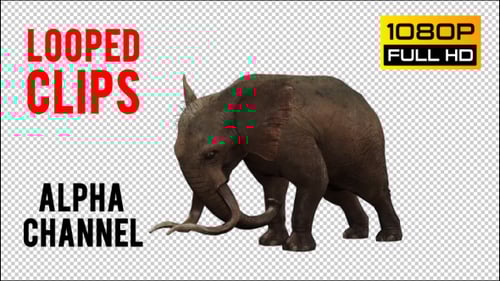 Realistic 3D Elephant Walking Animation