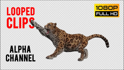 Jaguar 2