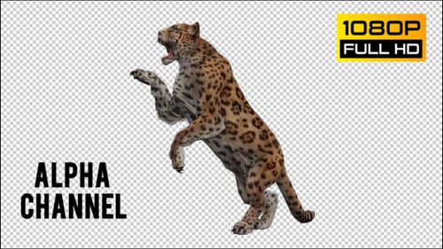 Jaguar 4
