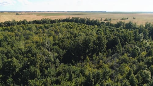 Top View From the Drone To the Forest.
