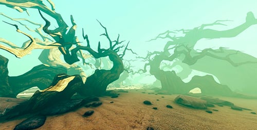 Fairy Forest In The Fog