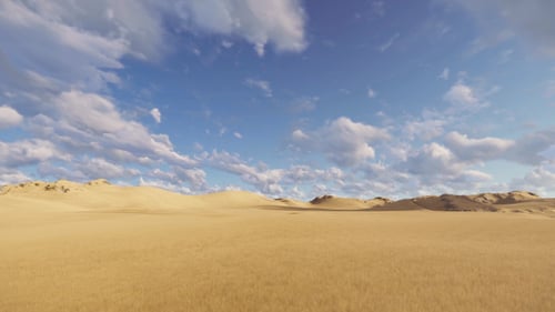 Steppe