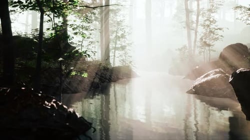 Dark Pond in Mysterious Forest