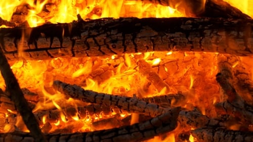 Grand feu de camp la nuit dans la forêt
