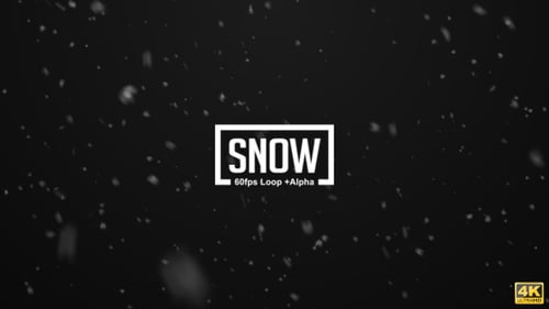Snow 4K Pack