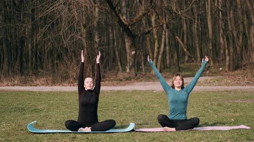 Young Women Practicing Yoga and Meditation in Park