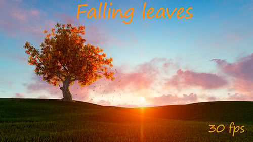 Autumn Tree with Falling Leaves at Sunset on Green Landscape