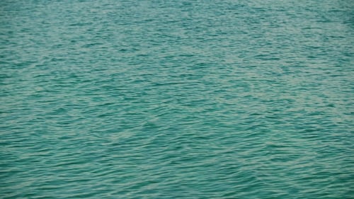 Meerwasserwellen und Meeresküste
