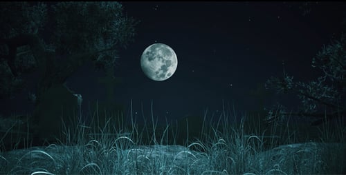 Peaceful Moonlit Night Landscape Animation with Stars and Water