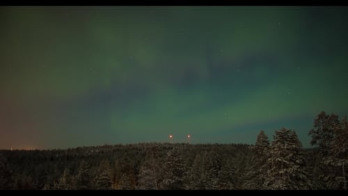 Northern Lights Over the Woods