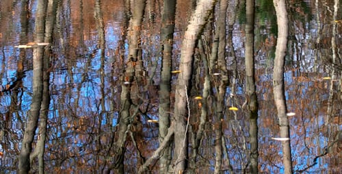 Spiegelung
