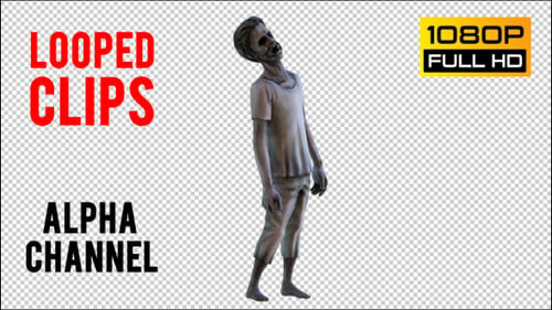 Zombie Realistic 14
