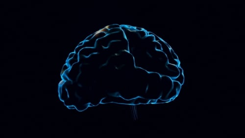 Futuristic Brain Activity Digital Scan Animation