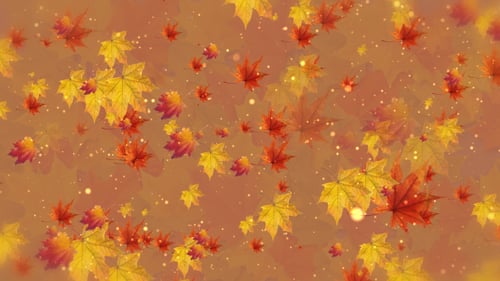 ThanksGiving BG