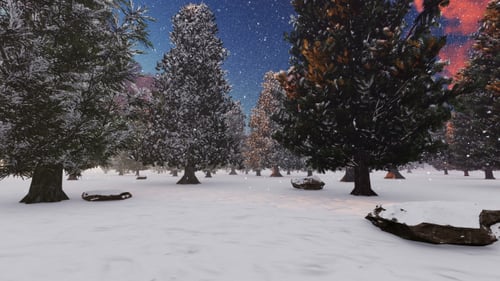 Panorama Winterwald