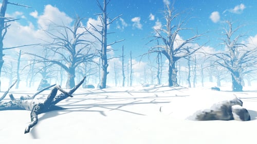 Winter im Wald