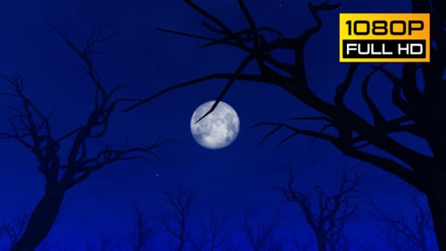 Halloween Forest 1