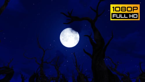 Halloween Forest 4