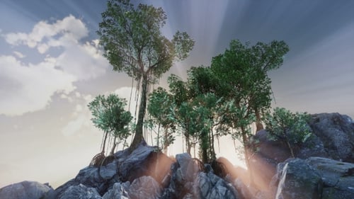 Sun Beams Through Trees