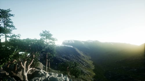 Sun Beams Through Trees