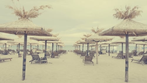 Sunbeds and Umbrellas Next To the Beach