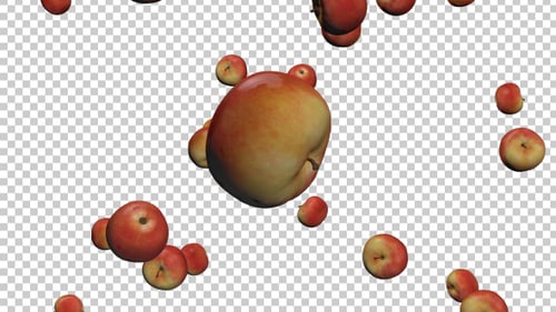 Apples Rain