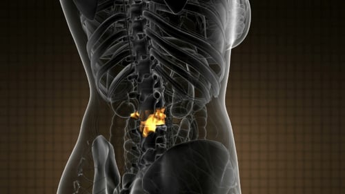 Human Torso Anatomy with Glowing Lumbar Spine Pain Animation