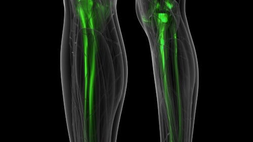 Futuristic Glowing Skeletal System Reveal Scan