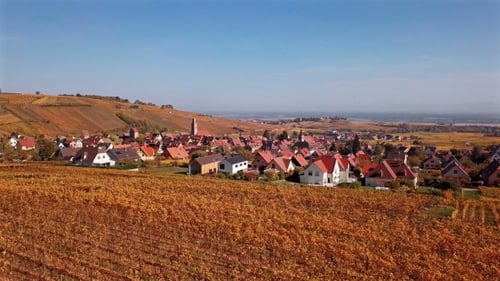 Survol automnal des vignobles de Riquewihr, Alsace, France.