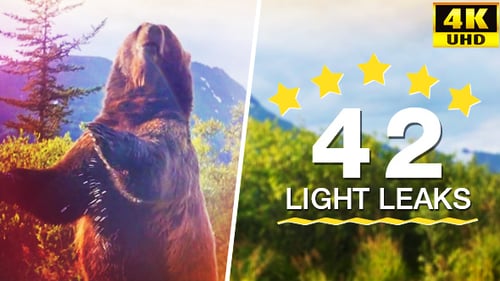 Vibrant Light Leak Video Overlays