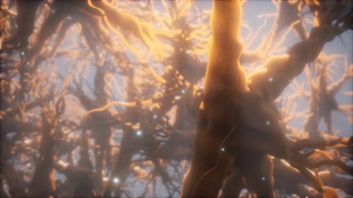 Abstract Neural Network Animation with Glowing Particles