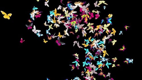 Colorful Butterflies Flying Seamless Loop