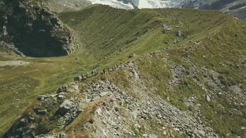Drohnenansicht: Wandernde Menschen, die einen Berg bereisen. Touristengruppe besteigt einen Berg