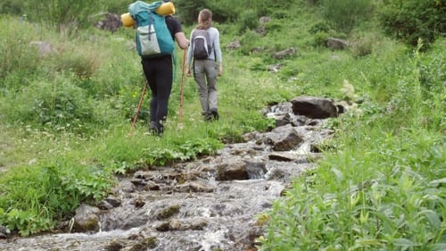 Deux jeunes hommes faisant de la randonnée dans les montagnes forestières en été