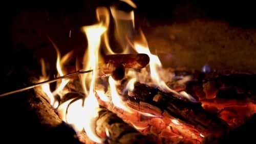 Delicious Juicy Sausages, Cooked on the Grill with a Fire