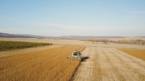 Combine Harvester Harvesting Crops in the Countryside