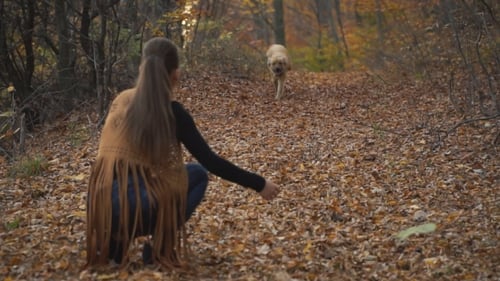 Woman and Dog Enjoying an Autumn Forest Walk