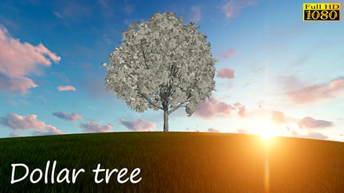 Money Tree Landscape