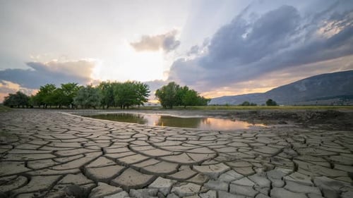 Cracked Earth Reflects Sunset Light