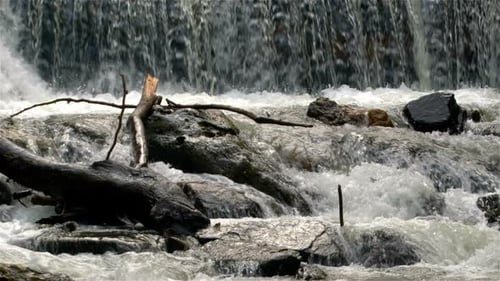 Fresh Water Cascading Over Rocks and Branches